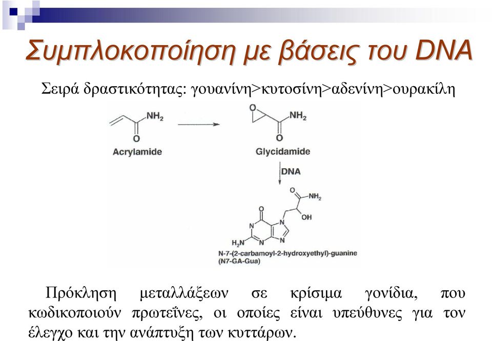 σε κρίσιμα γονίδια, που κωδικοποιούν πρωτεΐνες, οι