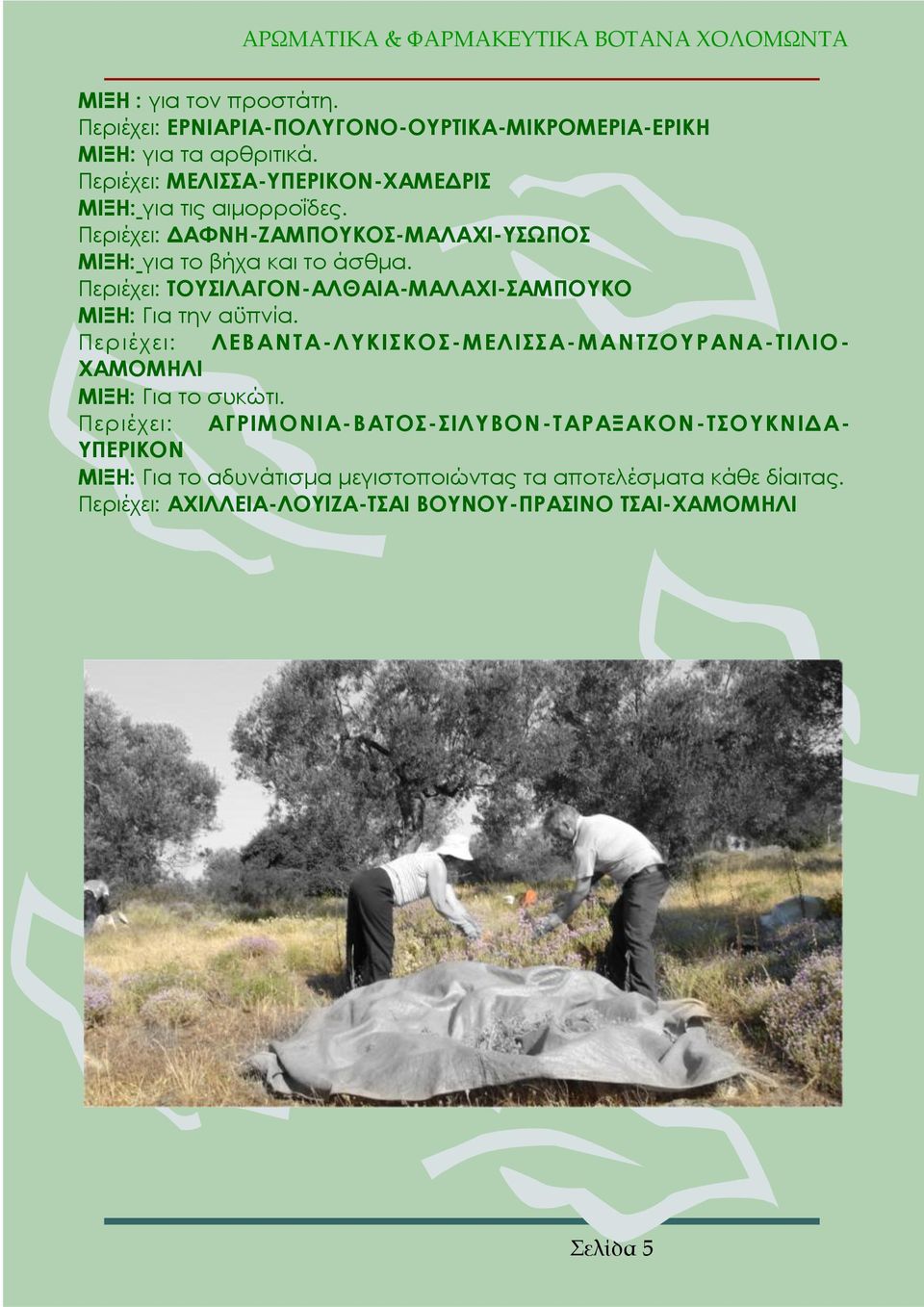 Περιέχει: ΣΟΤΙΛΑΓΟΝ-ΑΛΘΑΙΑ-ΜΑΛΑΦΙ-ΑΜΠΟΤΚΟ ΜΙΞΗ: Για την αϋπνία. Περιέχει: ΛΕΒΑΝΣΑ- ΛΤΚΙΚΟ- ΜΕΛΙΑ- ΜΑΝΣΖΟΤΡΑΝΑ- ΣΙΛΙΟ- ΦΑΜΟΜΗΛΙ ΜΙΞΗ: Για το συκώτι.