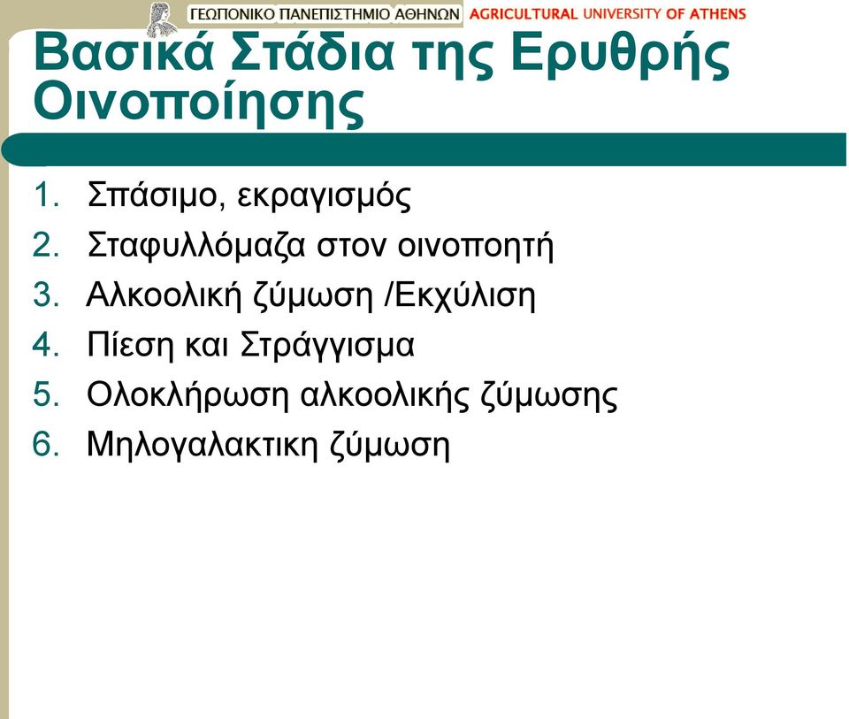 Σταφυλλόμαζα στον οινοποητή 3.