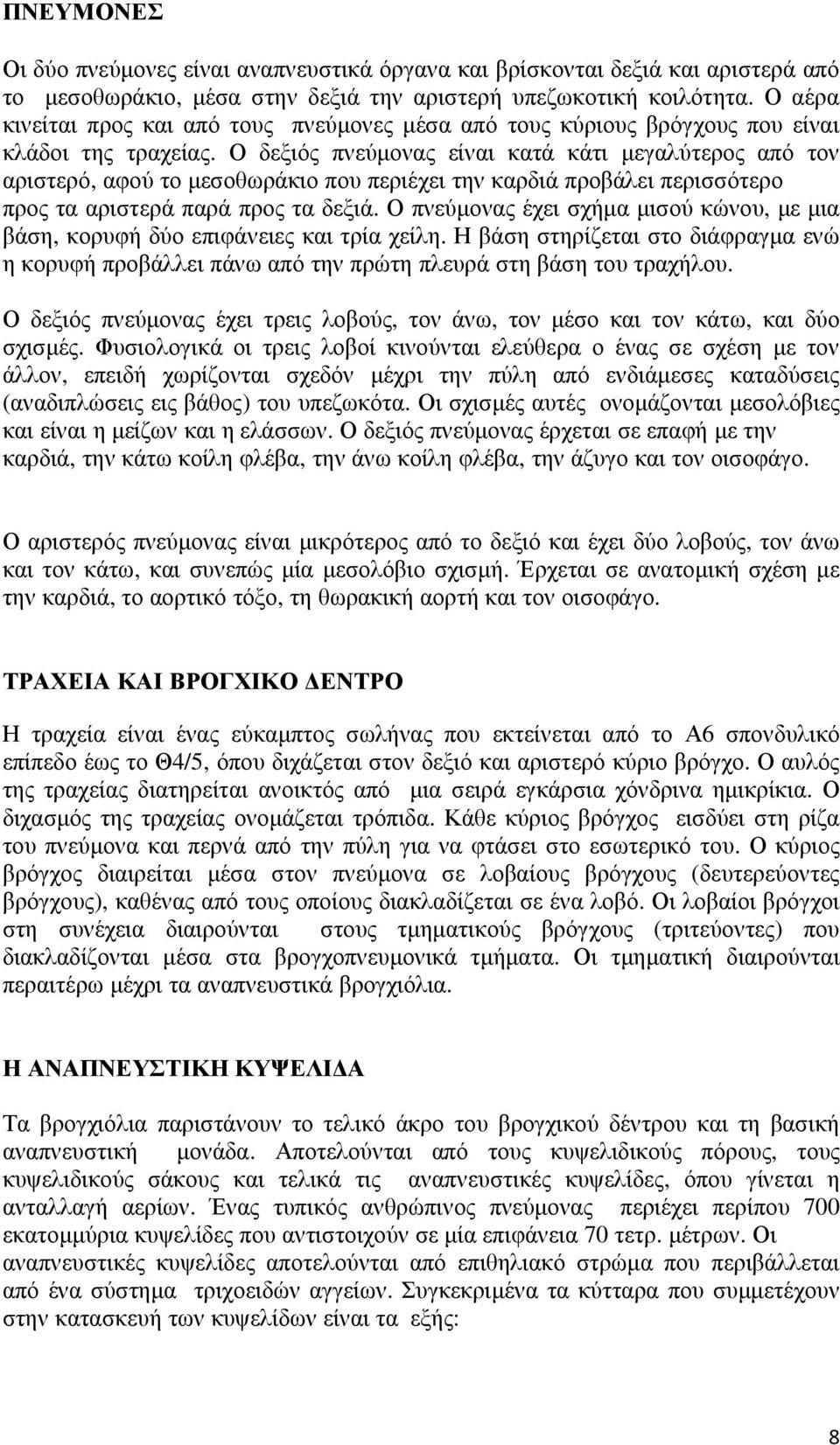 Ο δεξιός πνεύμονας είναι κατά κάτι μεγαλύτερος από τον αριστερό, αφού το μεσοθωράκιο που περιέχει την καρδιά προβάλει περισσότερο προς τα αριστερά παρά προς τα δεξιά.