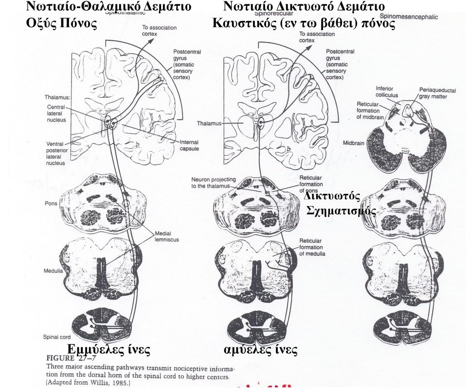 Καυστικός (εν τω βάθει) πόνος