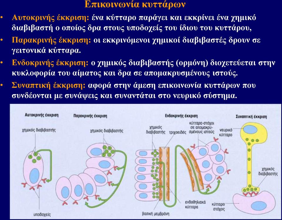 Ενδοκρινής έκκριση: ο χημικός διαβιβαστής (ορμόνη) διοχετεύεται στην κυκλοφορία του αίματος και δρα σε απομακρυσμένους