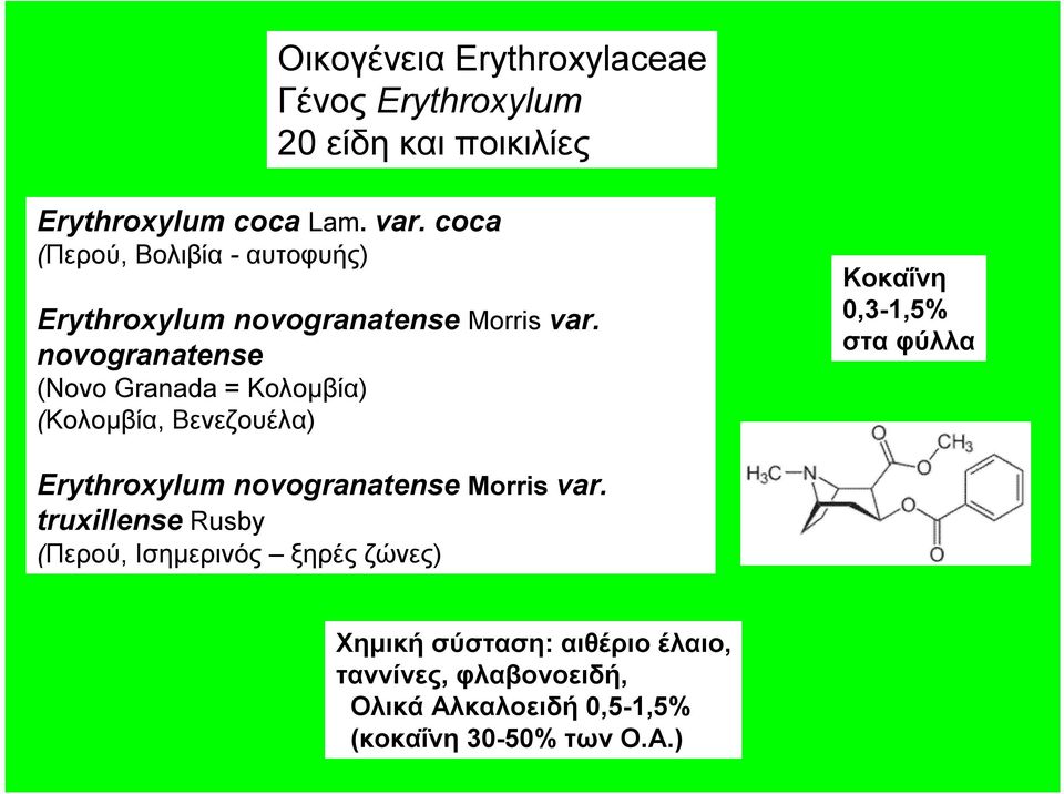 novogranatense (ovo Granada = Κολομβία) (Κολομβία, Βενεζουέλα) Κοκαΐνη 0,3-1,5% στα φύλλα Erythroxylum