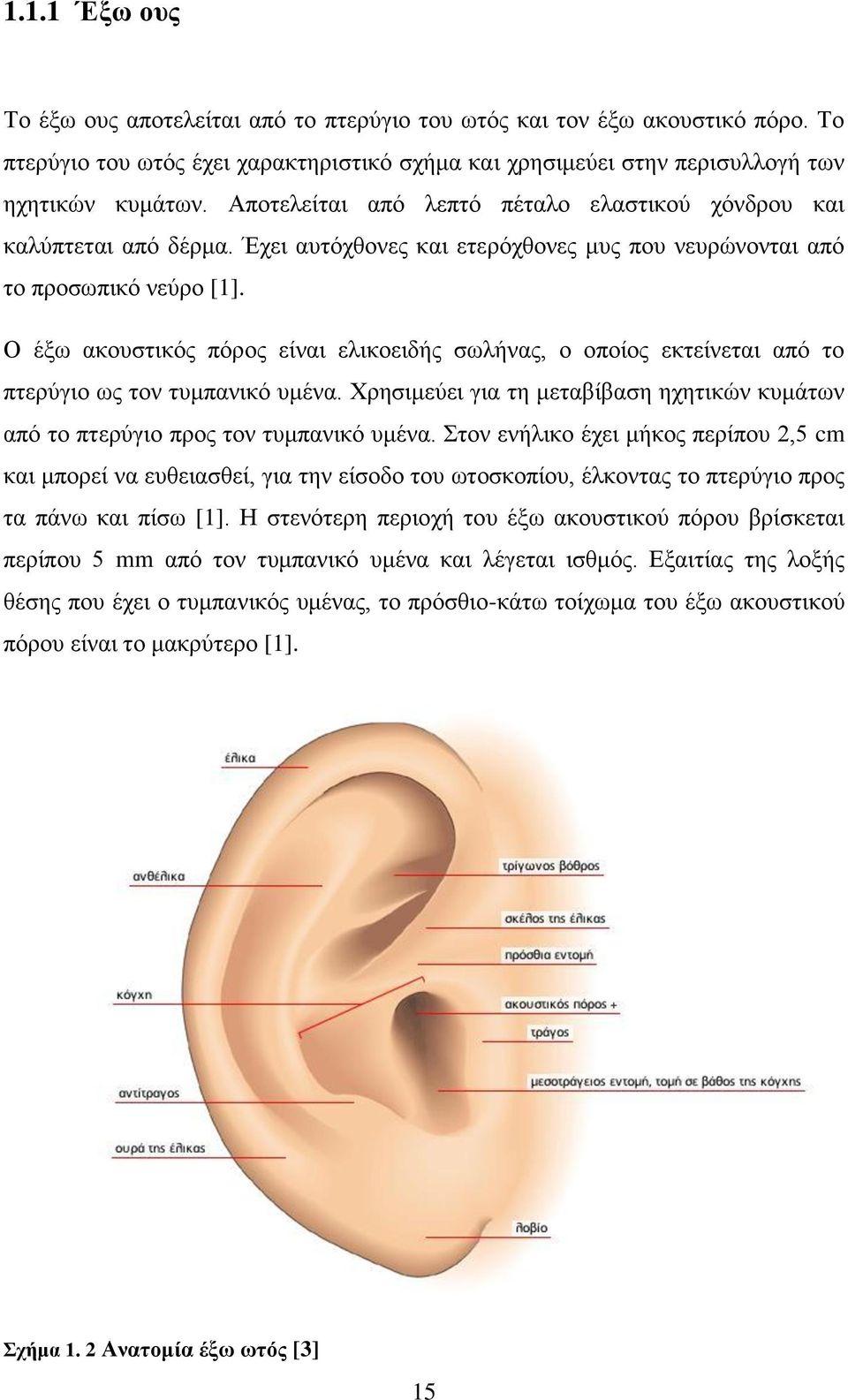 Ο έξω ακουστικός πόρος είναι ελικοειδής σωλήνας, ο οποίος εκτείνεται από το πτερύγιο ως τον τυμπανικό υμένα. Χρησιμεύει για τη μεταβίβαση ηχητικών κυμάτων από το πτερύγιο προς τον τυμπανικό υμένα.