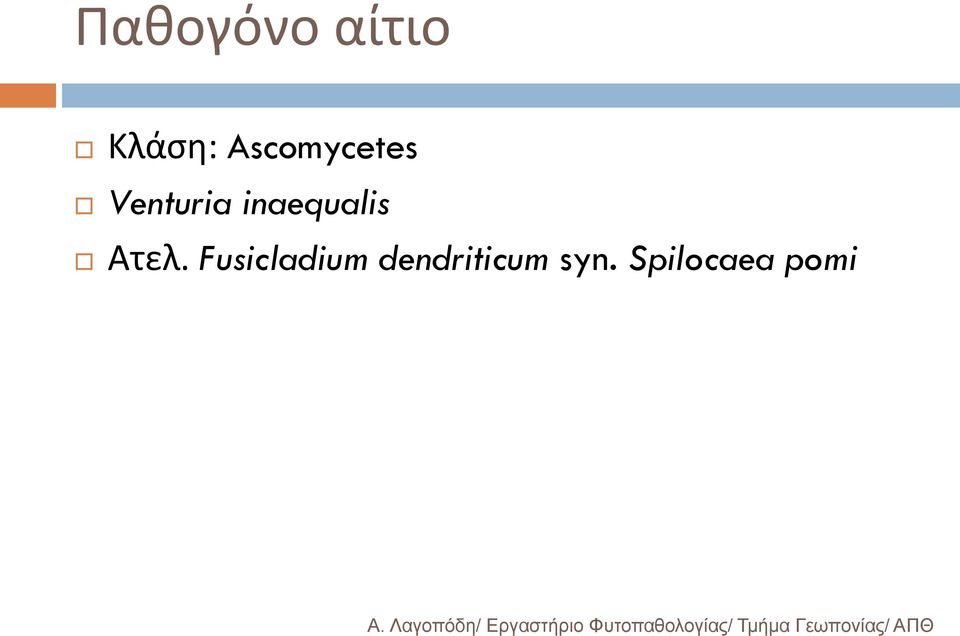inaequalis Ατελ.