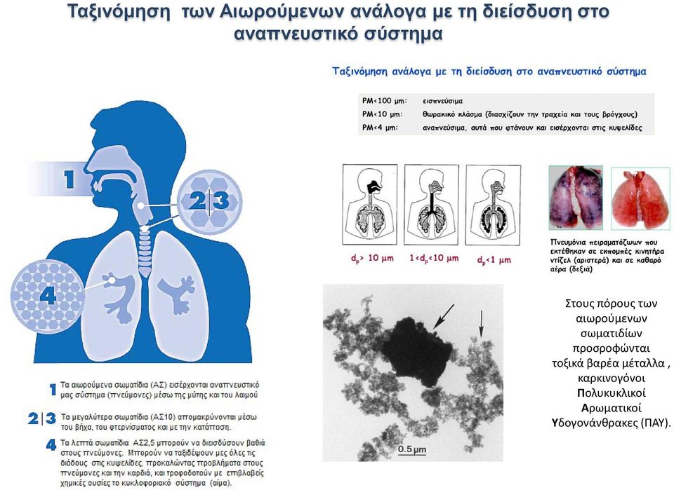 αιωρούμενων σωματιδίων προσροφώνται τοξικά βαρέα