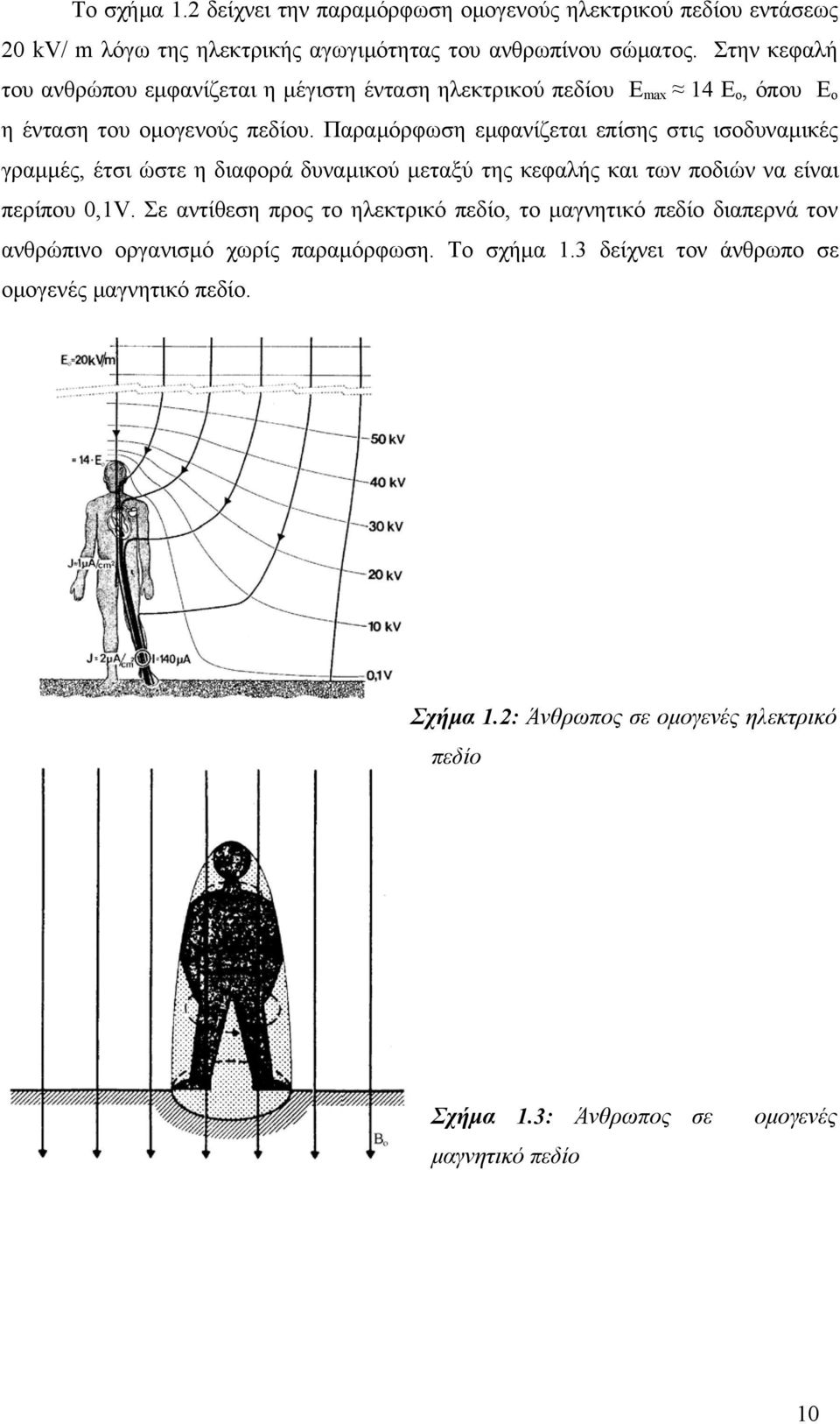 Παραμόρφωση εμφανίζεται επίσης στις ισοδυναμικές γραμμές, έτσι ώστε η διαφορά δυναμικού μεταξύ της κεφαλής και των ποδιών να είναι περίπου 0,1V.