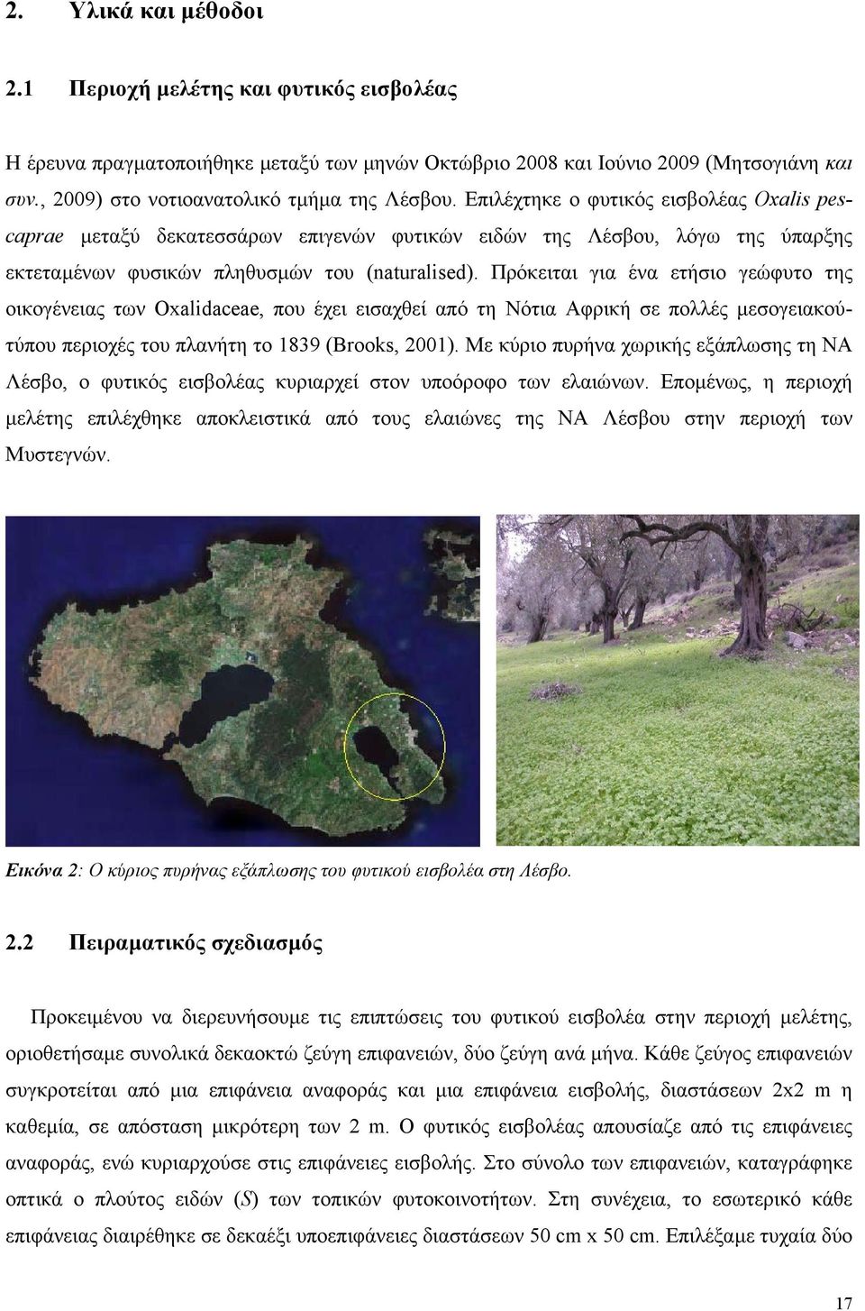 Πρόκειται για ένα ετήσιο γεώφυτο της οικογένειας των Oxalidaceae, που έχει εισαχθεί από τη Νότια Αφρική σε πολλές µεσογειακούτύπου περιοχές του πλανήτη το 1839 (Brooks, 2001).