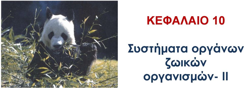 οργάνων