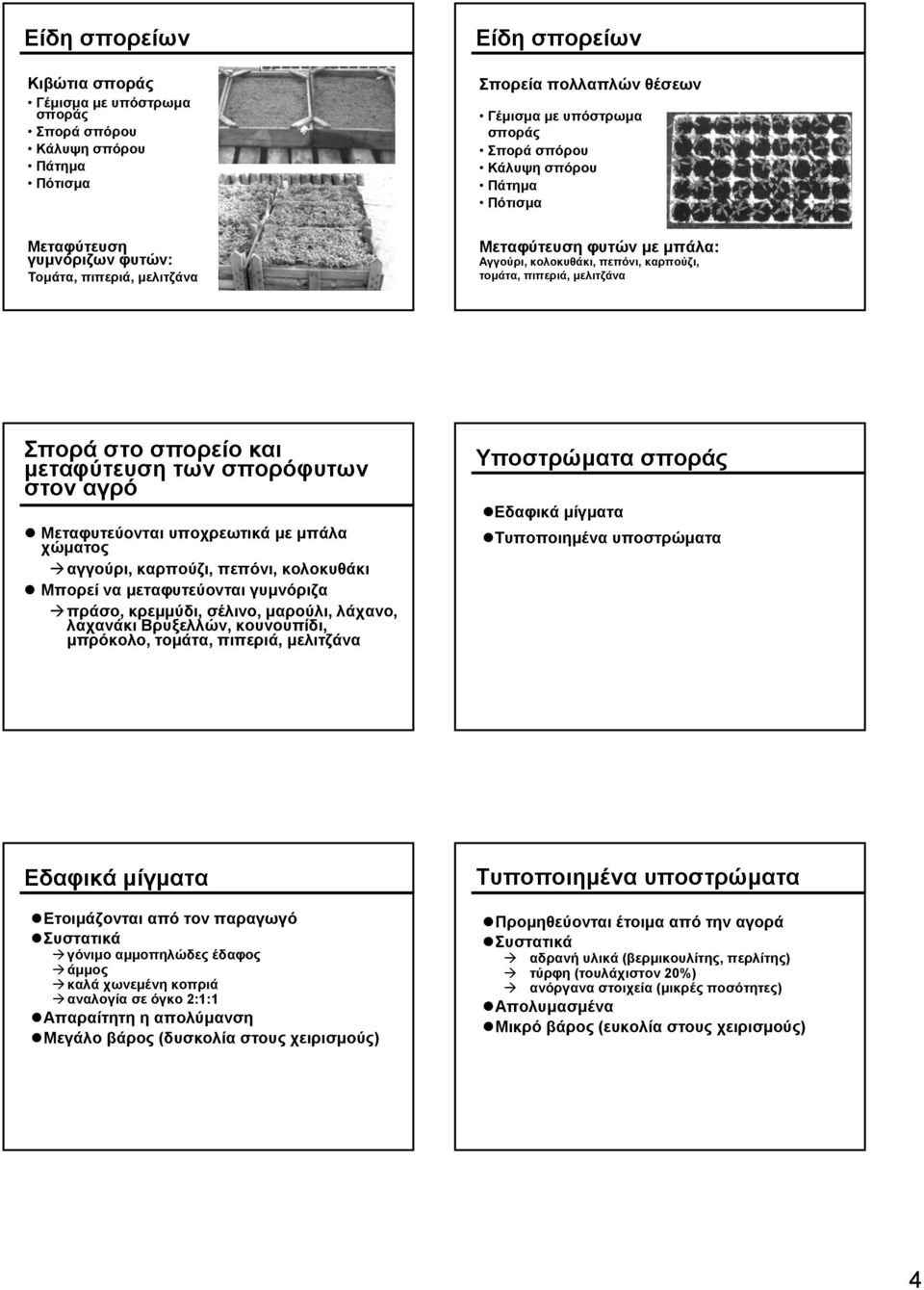 των σπορόφυτων στον αγρό Μεταφυτεύονται υποχρεωτικά με μπάλα χώματος αγγούρι, καρπούζι, πεπόνι, κολοκυθάκι Μπορεί να μεταφυτεύονται γυμνόριζα πράσο, κρεμμύδι, σέλινο, μαρούλι, λάχανο, λαχανάκι