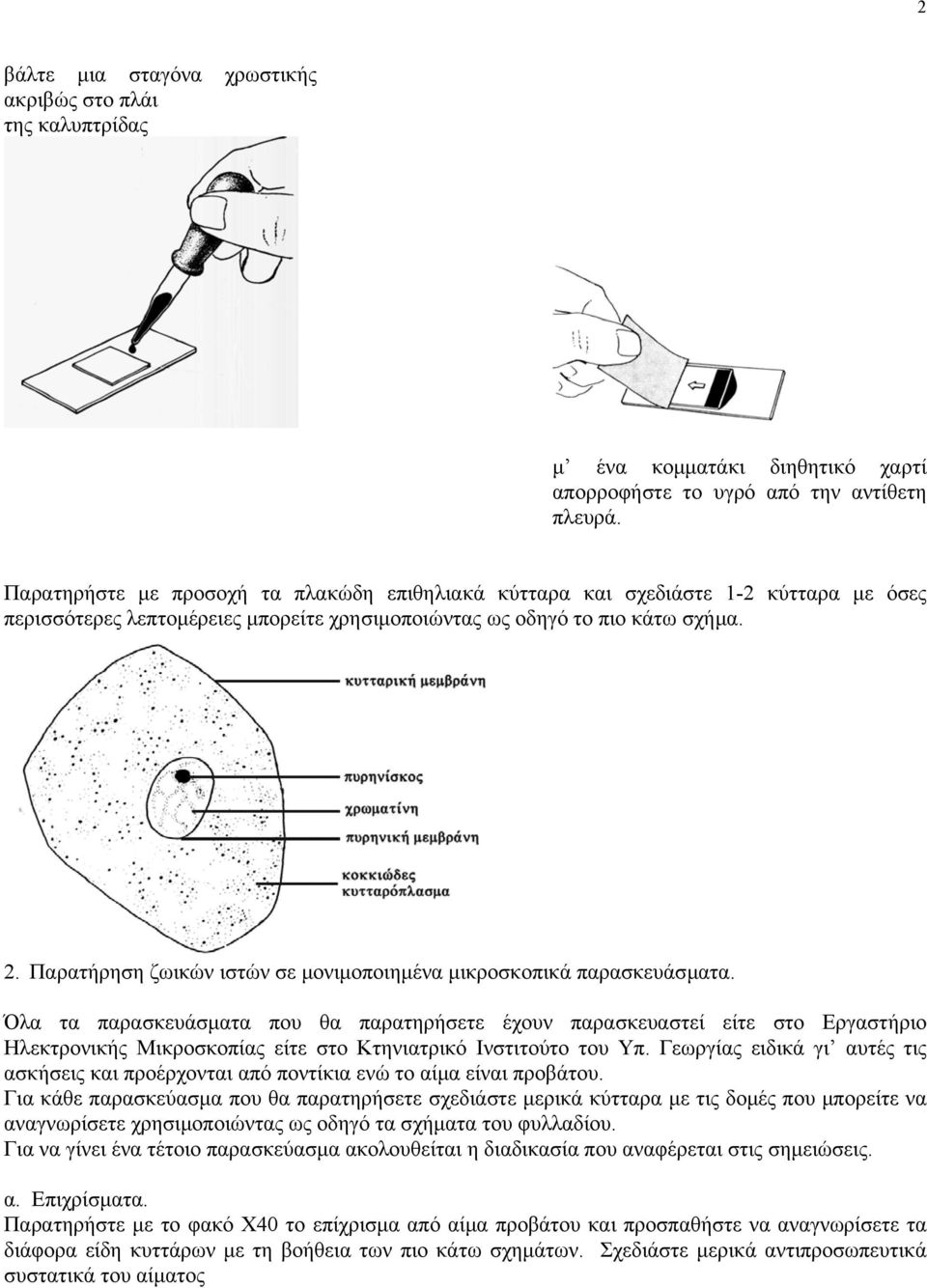 Παρατήρηση ζωικών ιστών σε µονιµοποιηµένα µικροσκοπικά παρασκευάσµατα.