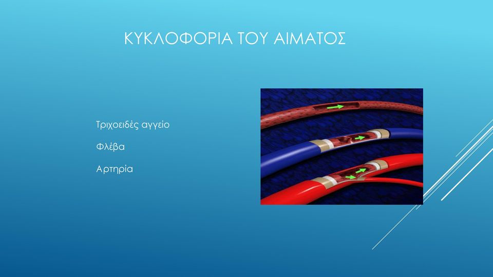 Τριχοειδές