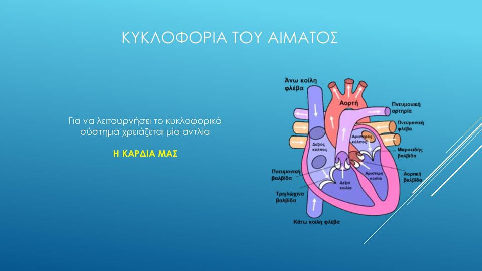 κυκλοφορικό σύστημα