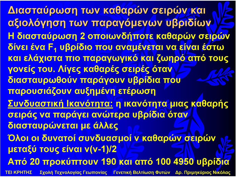 Λίγες καθαρές σειρές όταν διασταυρωθούν παράγουν υβρίδια που παρουσιάζουν αυξηµένη ετέρωση Συνδυαστική Ικανότητα: η ικανότητα µιας