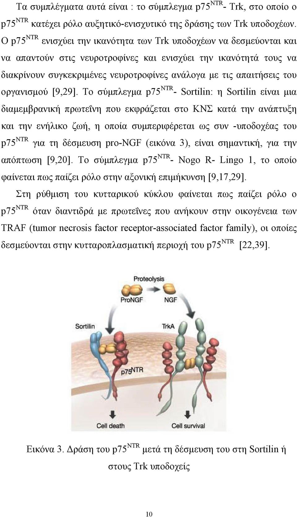 απαιτήσεις του οργανισμού [9,29].