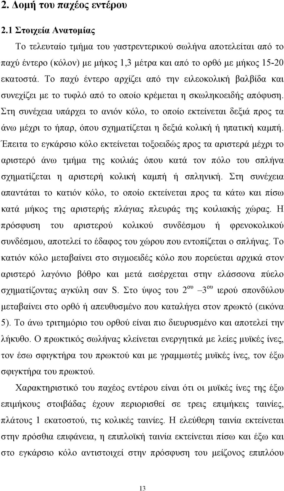 Στη συνέχεια υπάρχει το ανιόν κόλο, το οποίο εκτείνεται δεξιά προς τα άνω μέχρι το ήπαρ, όπου σχηματίζεται η δεξιά κολική ή ηπατική καμπή.