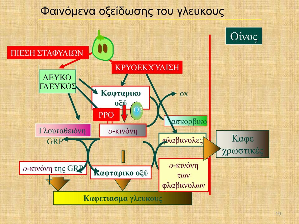 Καφταρικο οξύ PPO O o-κινόνη O2 Καφταρικο οξύ Καφετιασμα