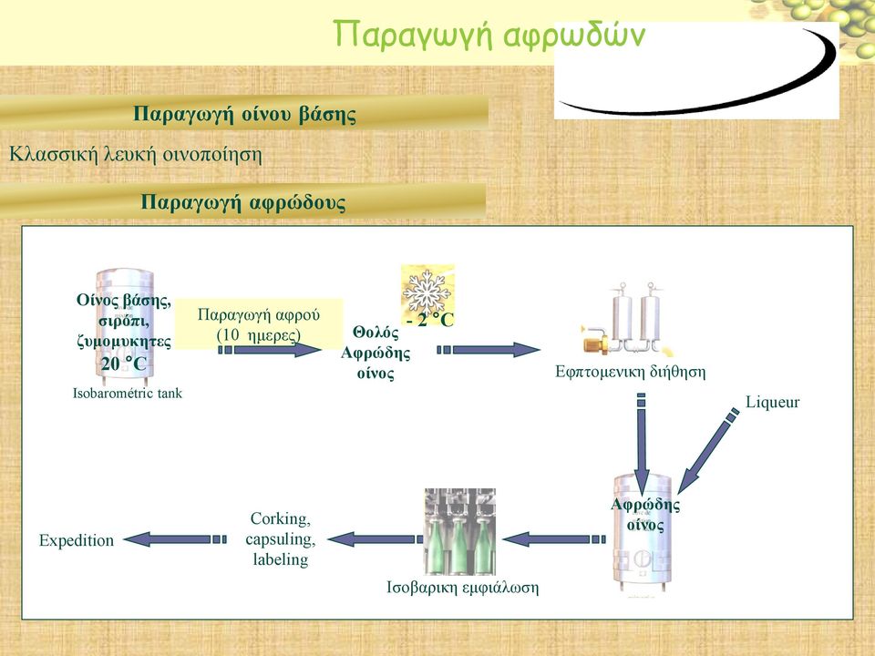 Παραγωγή αφρού (10 ημερες) - 2 C Θολός Αφρώδης οίνος Εφπτομενικη διήθηση