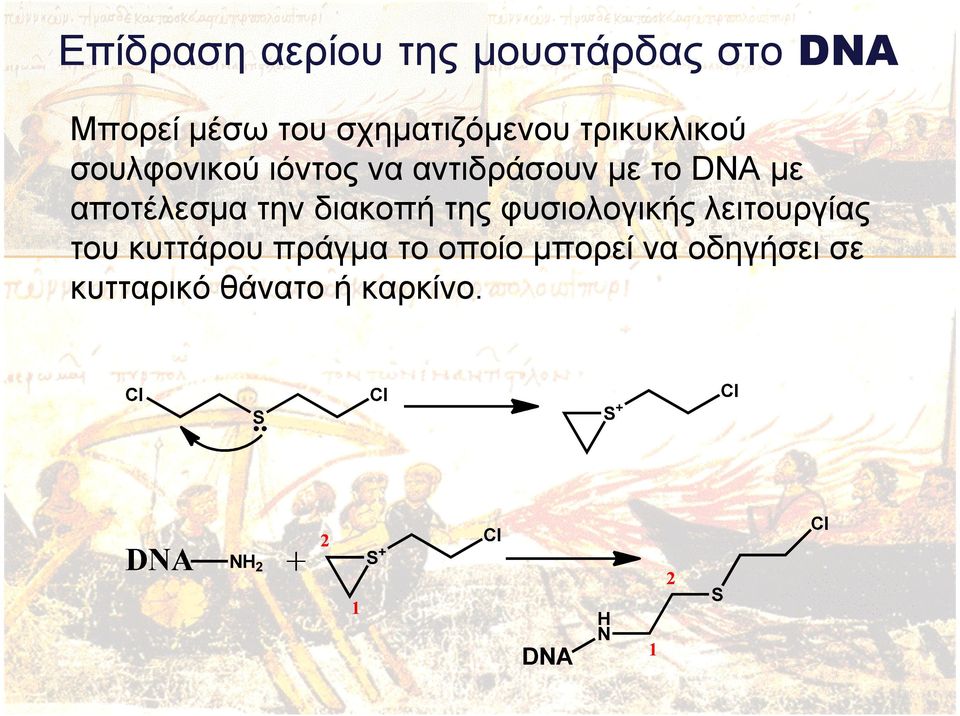 το DNA µε αποτέλεσµα την διακοπή της φυσιολογικής λειτουργίας