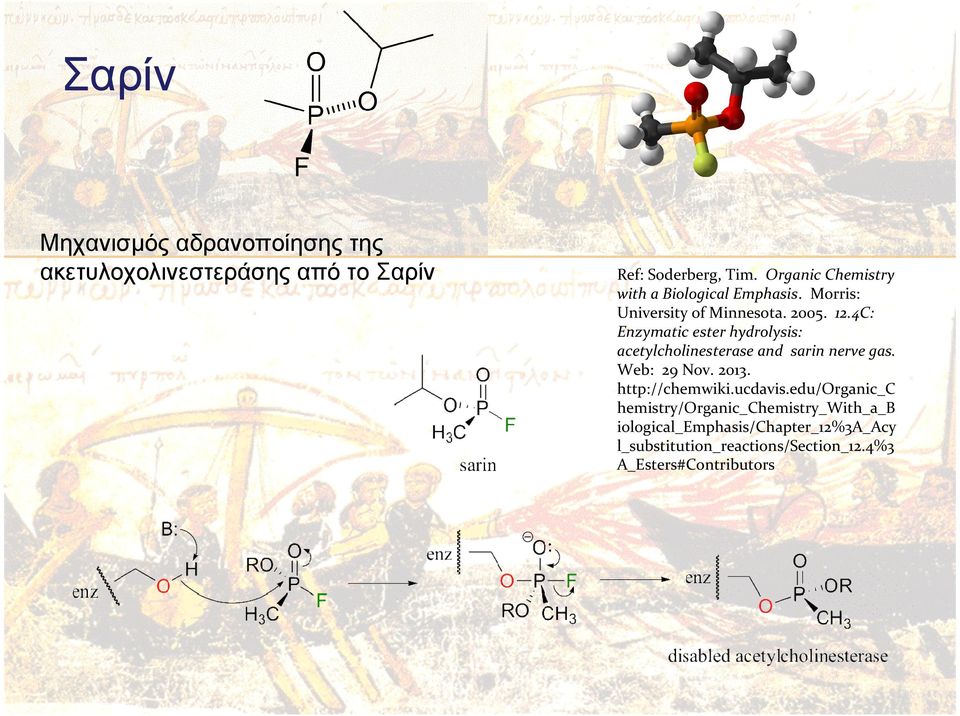4C: Enzymatic ester hydrolysis: acetylcholinesterase and sarin nerve gas. Web: 29 Nov. 2013. http://chemwiki.