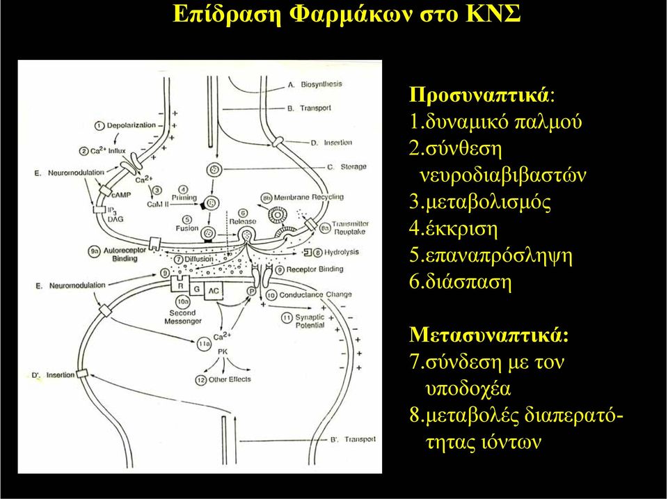 µεταβολισµός 4.έκκριση 5.επαναπρόσληψη 6.