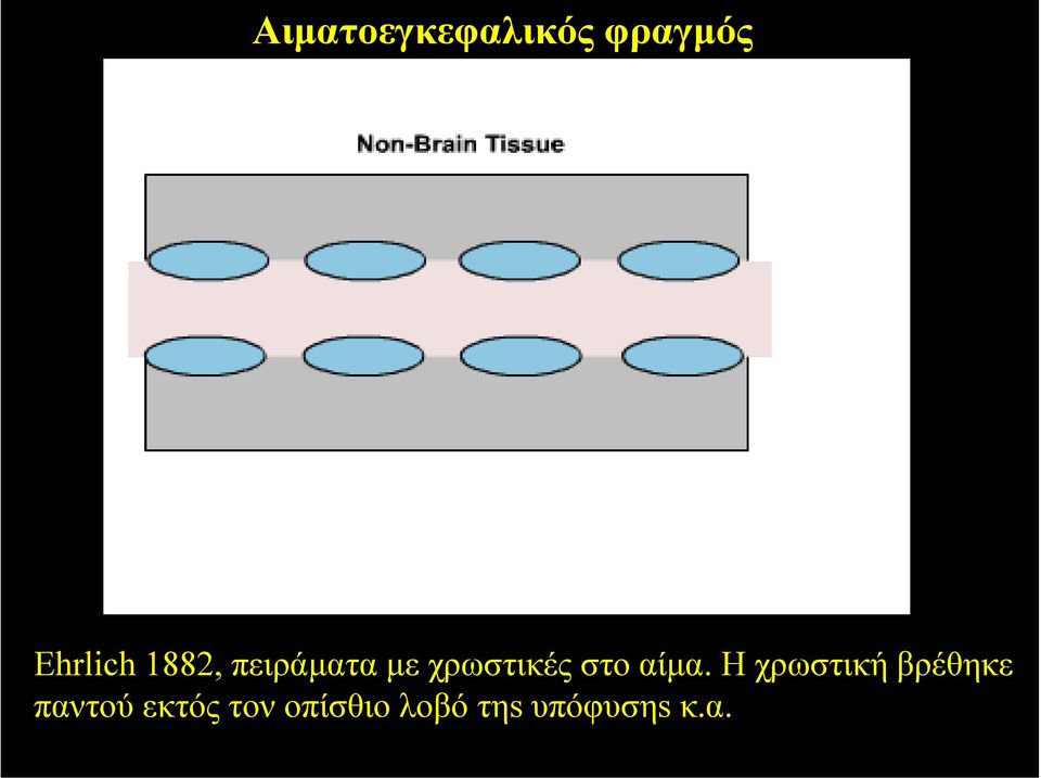 αίµα. Η χρωστική βρέθηκε παντού
