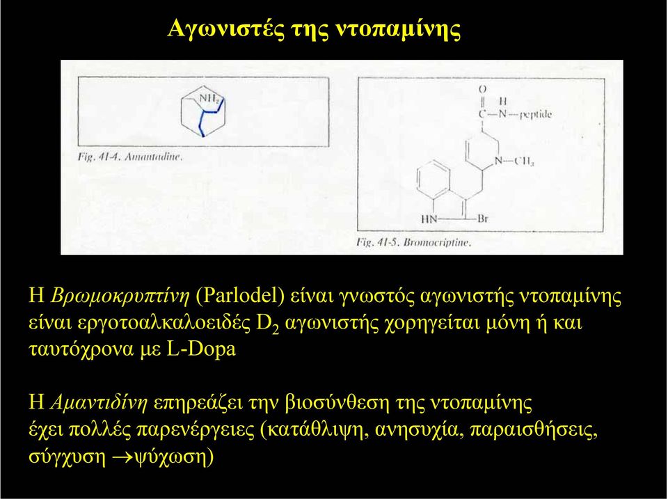 ή και ταυτόχρονα µε L-Dopa Η Αµαντιδίνη επηρεάζει την βιοσύνθεση της