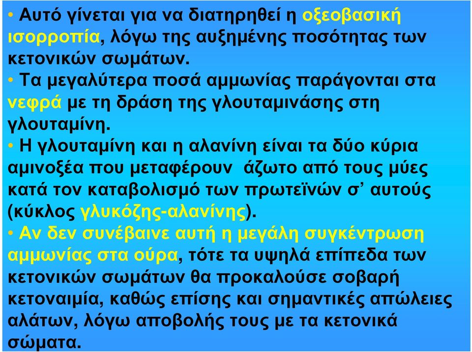 Ηγλουταµίνηκαιηαλανίνηείναιταδύοκύρια αµινοξέα που µεταφέρουν άζωτο από τους µύες κατά τον καταβολισµό των πρωτεϊνών σ αυτούς