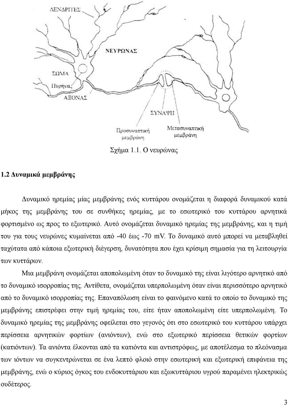 προς το εξωτερικό. Αυτό ονομάζεται δυναμικό ηρεμίας της μεμβράνης, και η τιμή του για τους νευρώνες κυμαίνεται από -40 έως -70 mv.