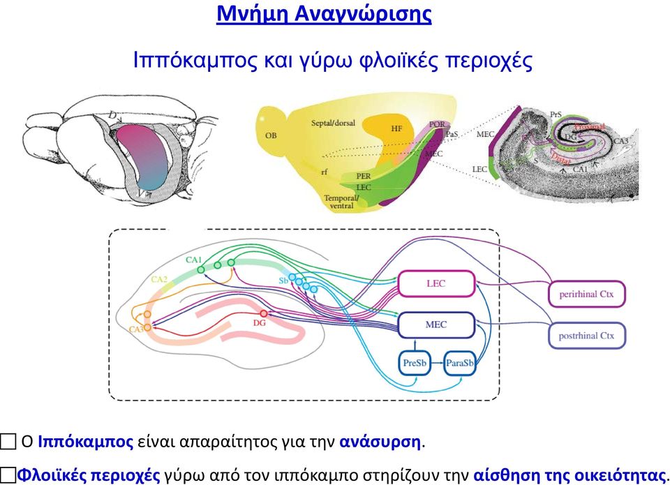 απαραίτητος για την ανάσυρση.