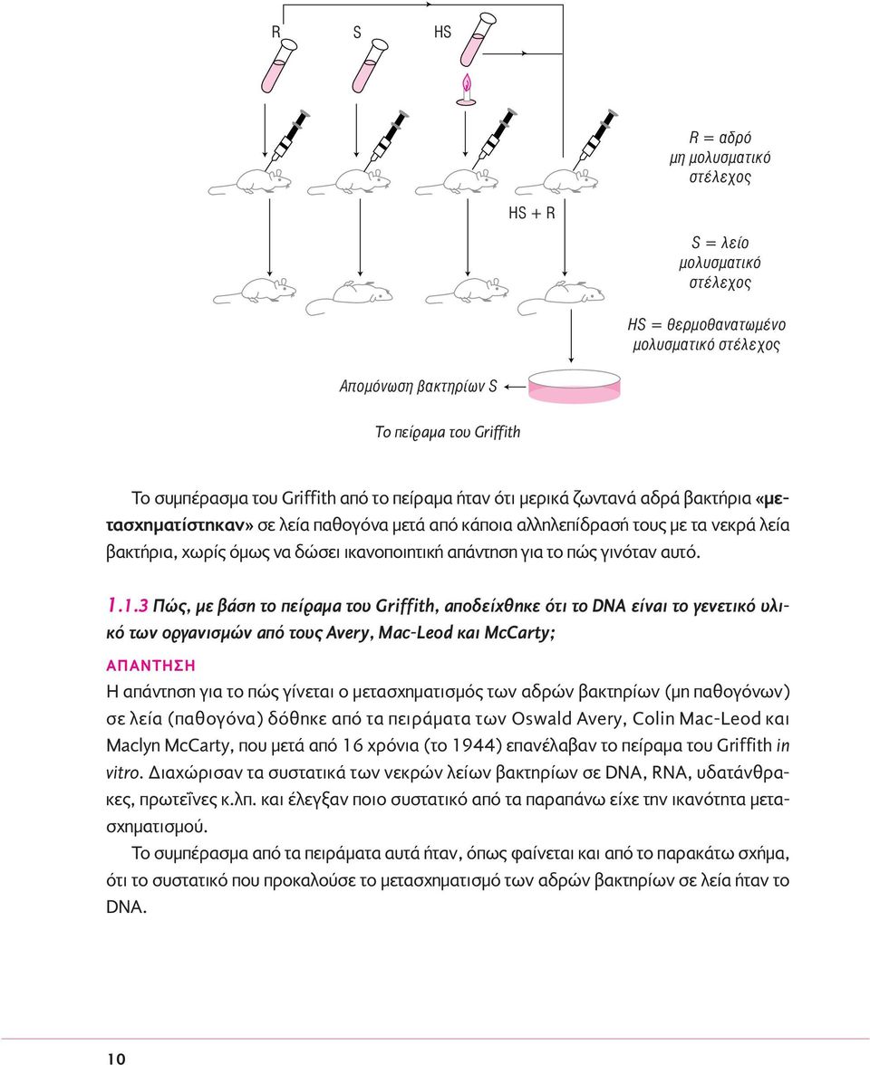 1.3 Πώς, με βάση το πείραμα του Griffith, αποδείχθηκε ότι το DNA είναι το γενετικό υλικό των οργανισμών από τους Avery, Mac-Leod και McCarty; H απάντηση για το πώς γίνεται ο μετασχηματισμός των αδρών