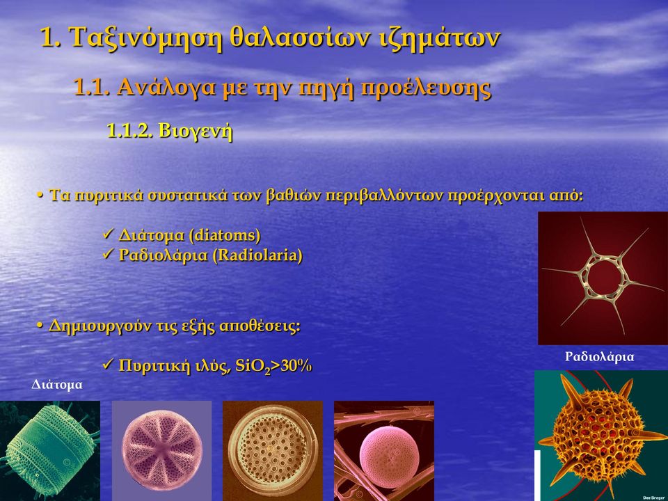 προέρχονται από: Διάτομα (diatoms) Ραδιολάρια (Radiolaria)