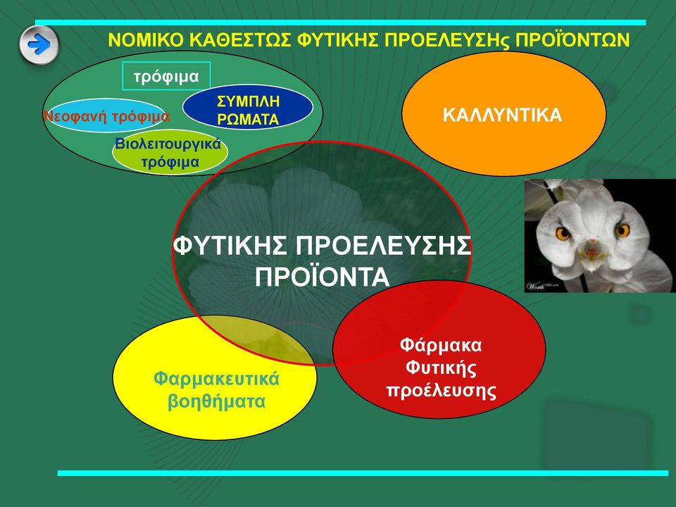 ΤΜΠΛΗ ΡΩΜΑΣΑ ΚΑΛΛΤΝΣΙΚΑ ΦΤΣΙΚΗ ΠΡΟΔΛΔΤΗ