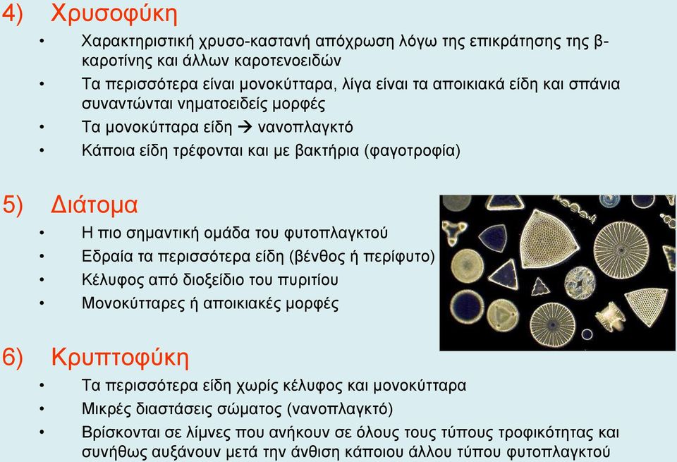 Εδραία τα περισσότερα είδη (βένθος ή περίφυτο) Κέλυφος από διοξείδιο του πυριτίου Μονοκύτταρες ή αποικιακές μορφές 6) Κρυπτοφύκη Τα περισσότερα είδη χωρίς κέλυφος και