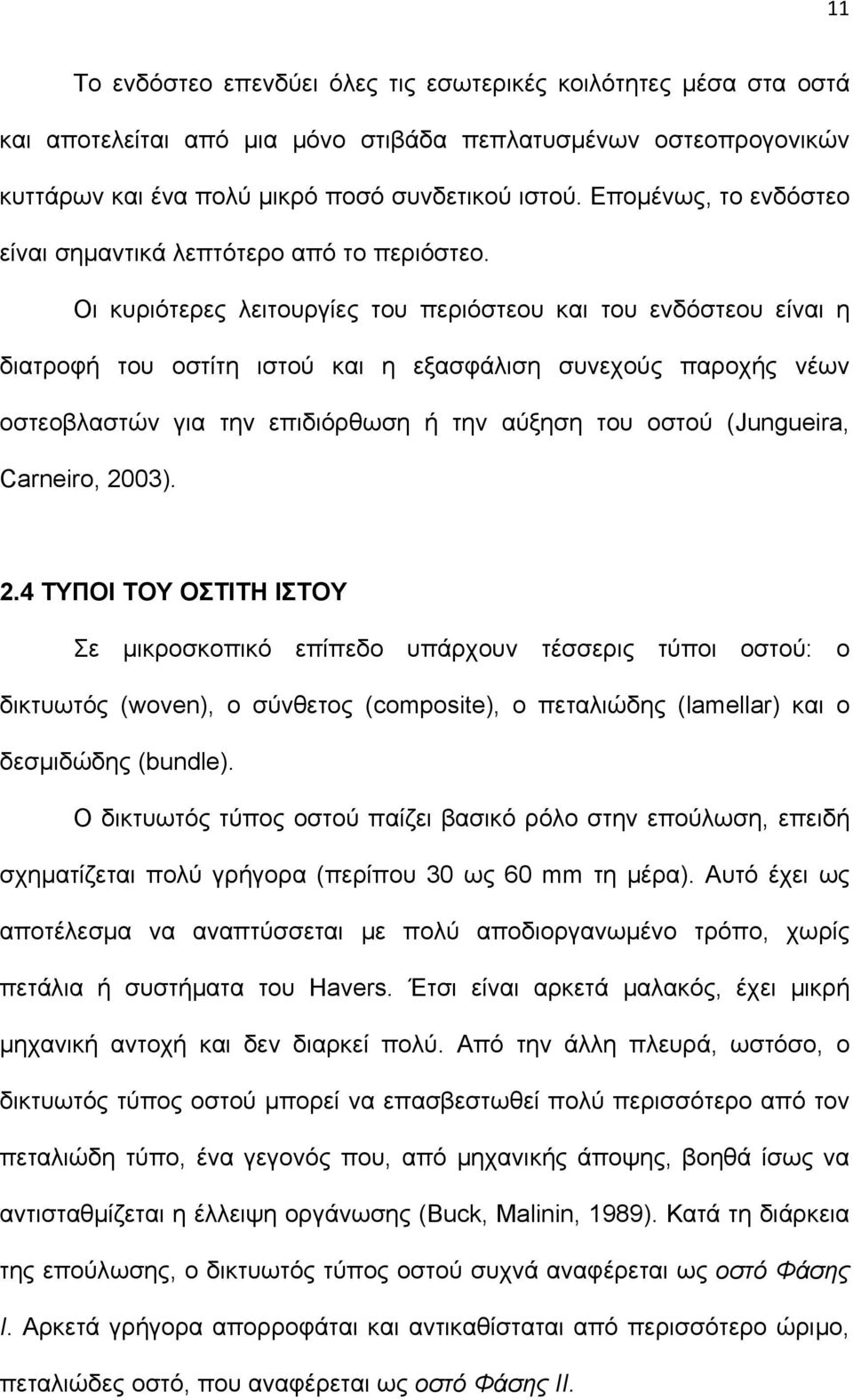 Οι κυριότερες λειτουργίες του περιόστεου και του ενδόστεου είναι η διατροφή του οστίτη ιστού και η εξασφάλιση συνεχούς παροχής νέων οστεοβλαστών για την επιδιόρθωση ή την αύξηση του οστού (Jungueira,