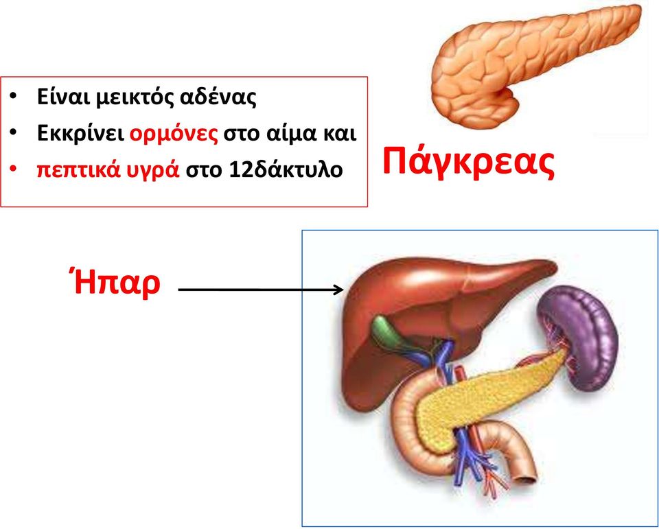 αίμα και πεπτικά υγρά