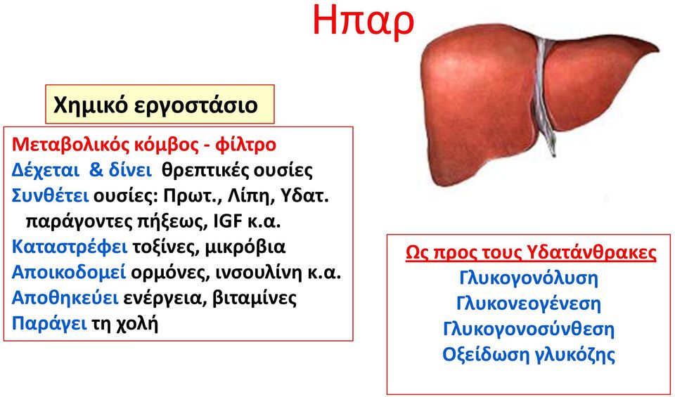 . παράγοντες πήξεως, ΙGF κ.α. Καταστρέφει τοξίνες, μικρόβια Αποικοδομεί ορμόνες, ινσουλίνη κ.