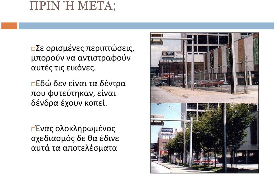 Εδώ δεν είναι τα δέντρα που φυτεύτηκαν, είναι δένδρα