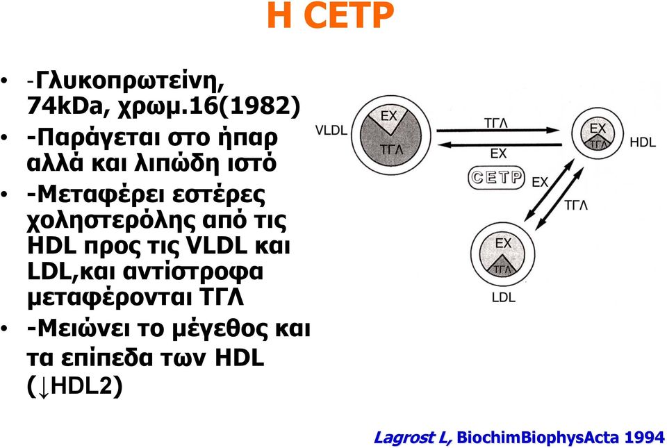 εστέρες χοληστερόλης από τις HDL προς τις VLDL και LDL,και