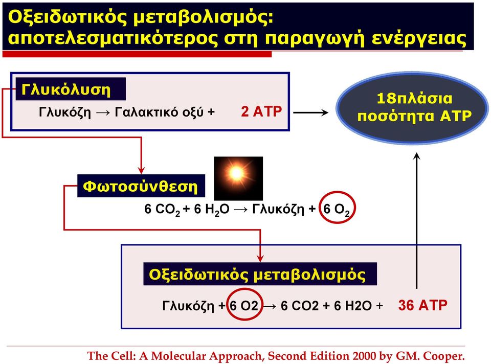 CO 2 + 6 H 2 O Γλυκόζη + 6 Ο 2 Οξειδωτικός μεταβολισμός Γλυκόζη + 6 Ο2 6 CO2