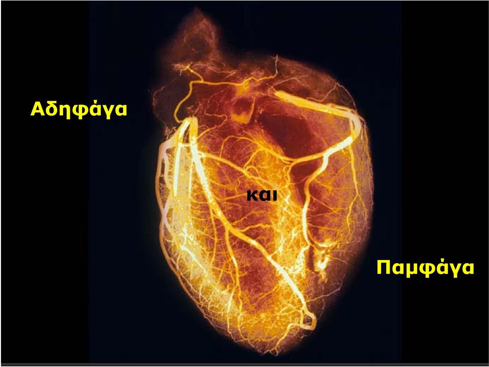 Παμφάγα