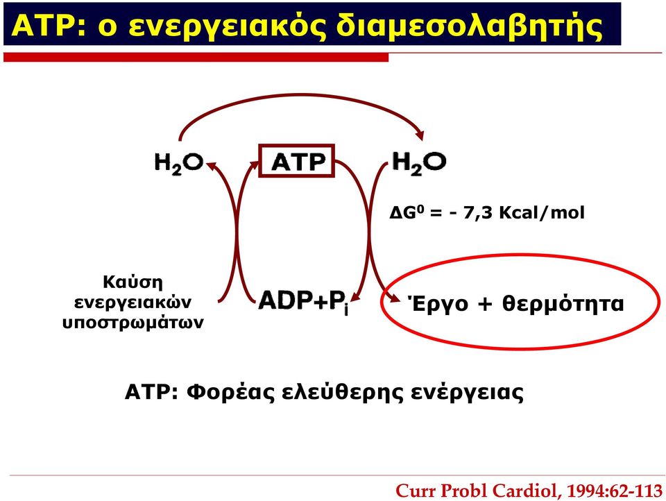 υποστρωμάτων Έργο + θερμότητα ATP: Φορέας