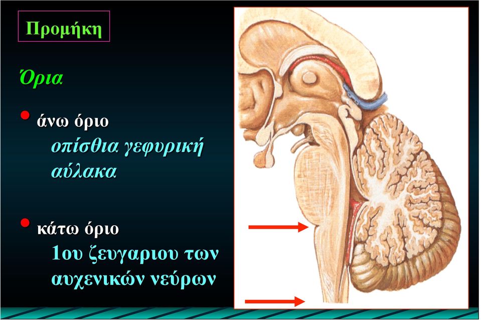 αύλακα κάτω όριο 1ου