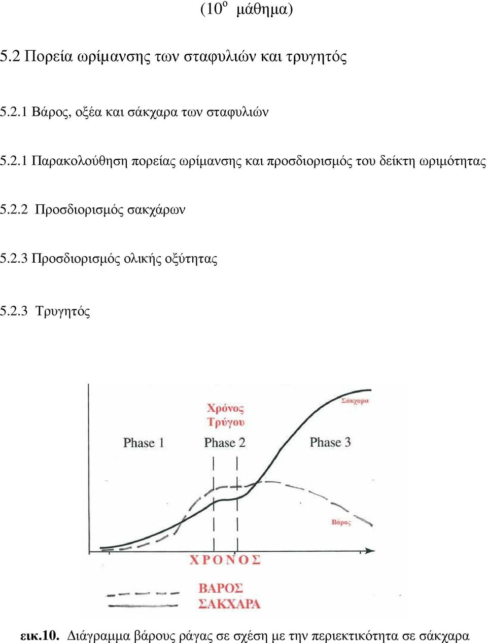 2.3 Προσδιορισµός ολικής οξύτητας 5.2.3 Τρυγητός εικ.10.