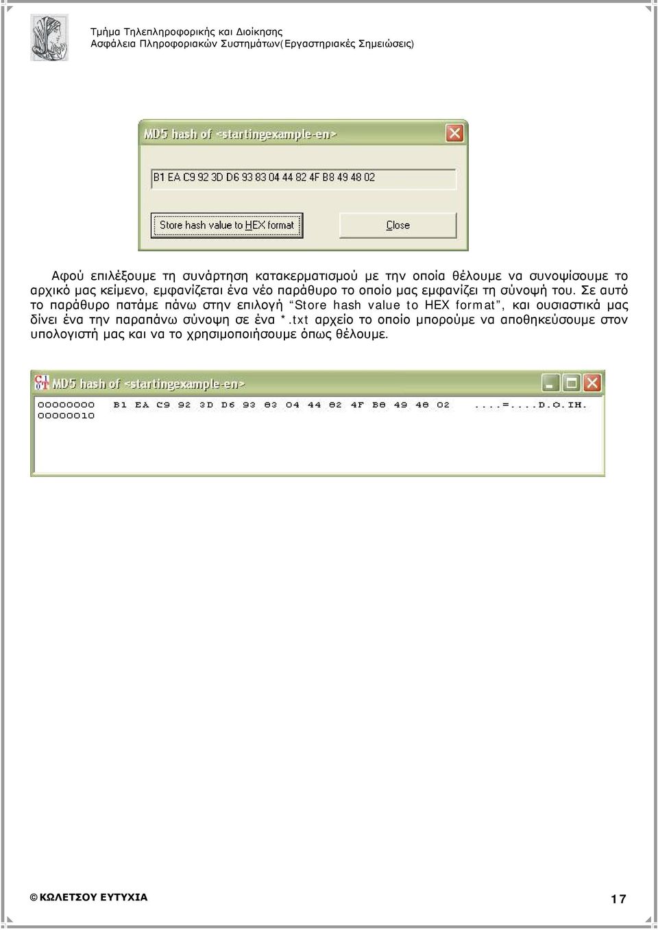 Σε αυτό το παράθυρο πατάμε πάνω στην επιλογή Store hash value to HEX format, και ουσιαστικά μας δίνει ένα