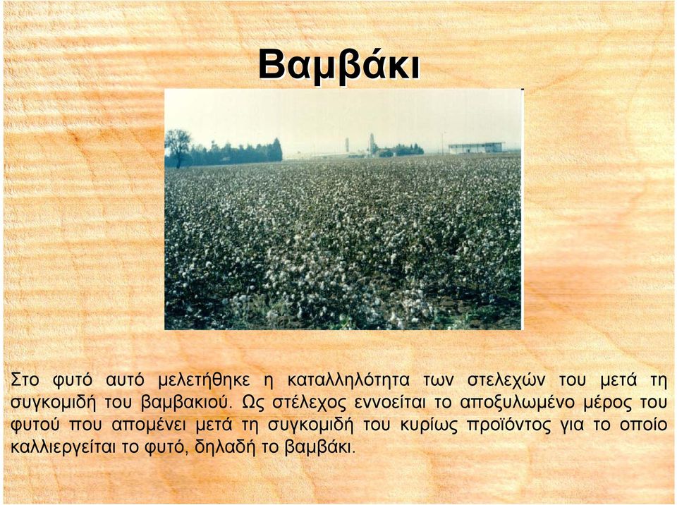 Ως στέλεχος εννοείται το αποξυλωμένο μέρος του φυτού που