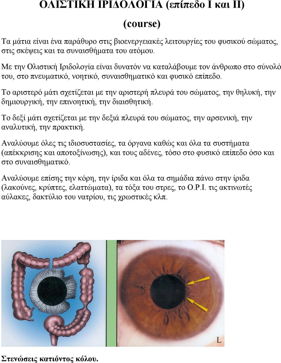 Το αριστερό μάτι σχετίζεται με την αριστερή πλευρά του σώματος, την θηλυκή, την δημιουργική, την επινοητική, την διαισθητική.