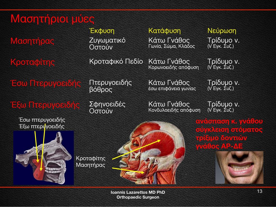 ) (V Εγκ. Συζ.) Έσω Πτερυγοειδής Πτερυγοειδής Κάτω Γνάθος Τρίδυμο ν. Έξω Πτερυγοειδής Σφηνοειδές Κάτω Γνάθος Τρίδυμο ν.