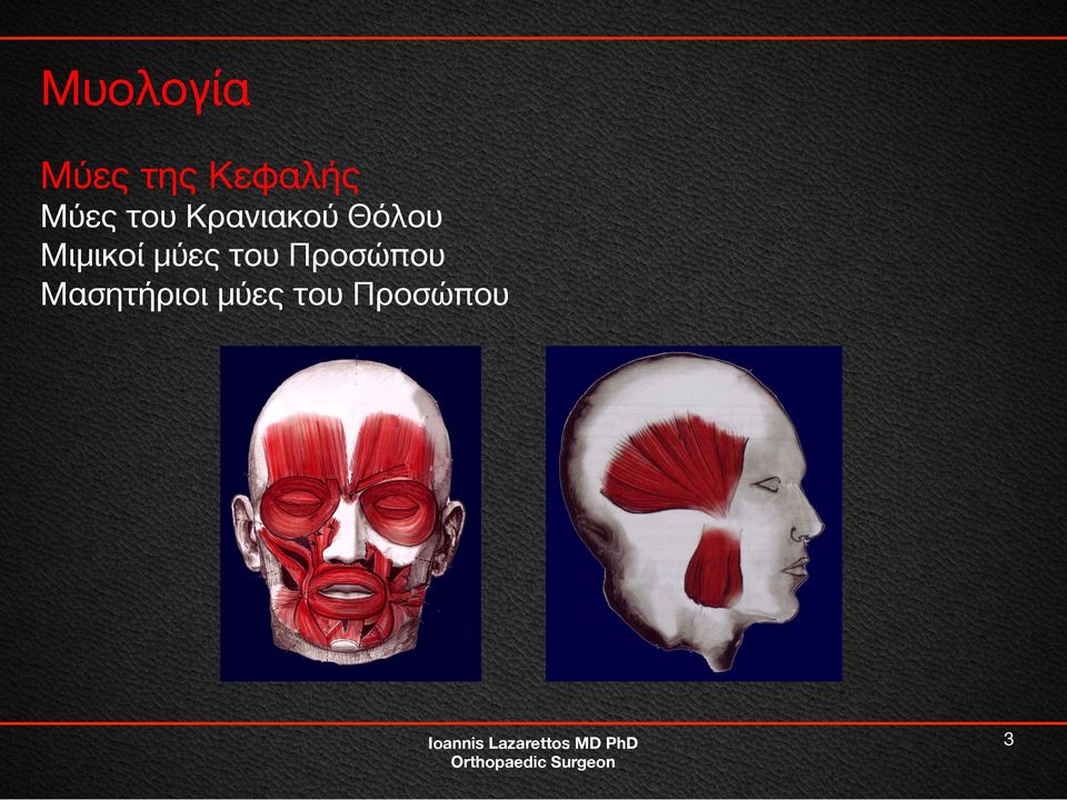 Μυολογία Ι. Ioannis Lazarettos. MD PhD Orthopaedic Surgeon - PDF ΔΩΡΕΑΝ Λήψη