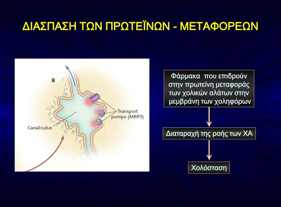 μεταφοράς των χολικών αλάτων στην